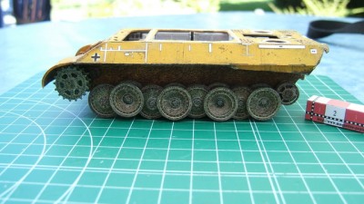 Bergepanther=139.JPG