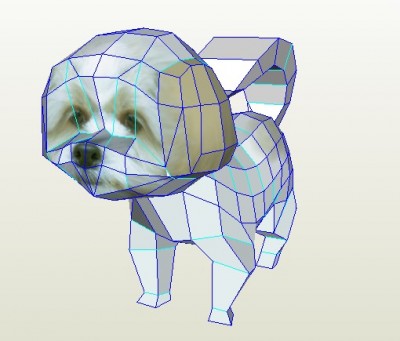 Chien 1.jpg