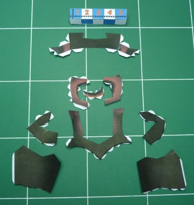P5.jpg