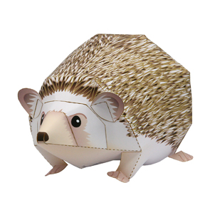 Hérisson four-toed-hedgehog_thl.jpg