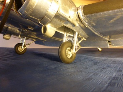 P1010171.JPG
