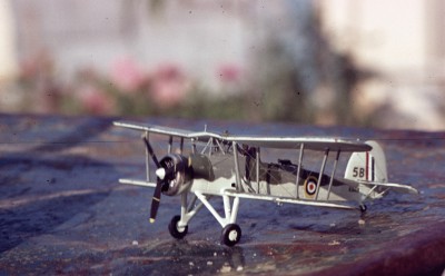 1984 09 023 swordfish.jpg