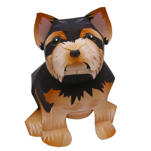 yorkshire-terrier_thl.jpg