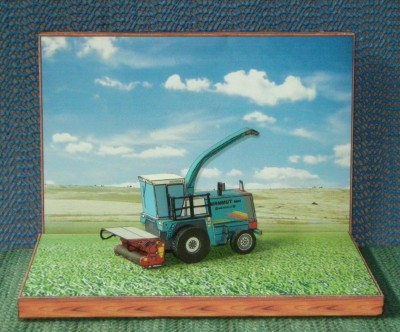 rc009.jpg