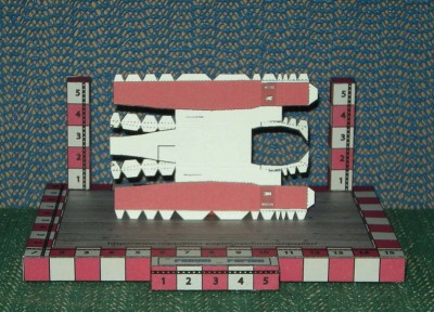 A-10  002.jpg
