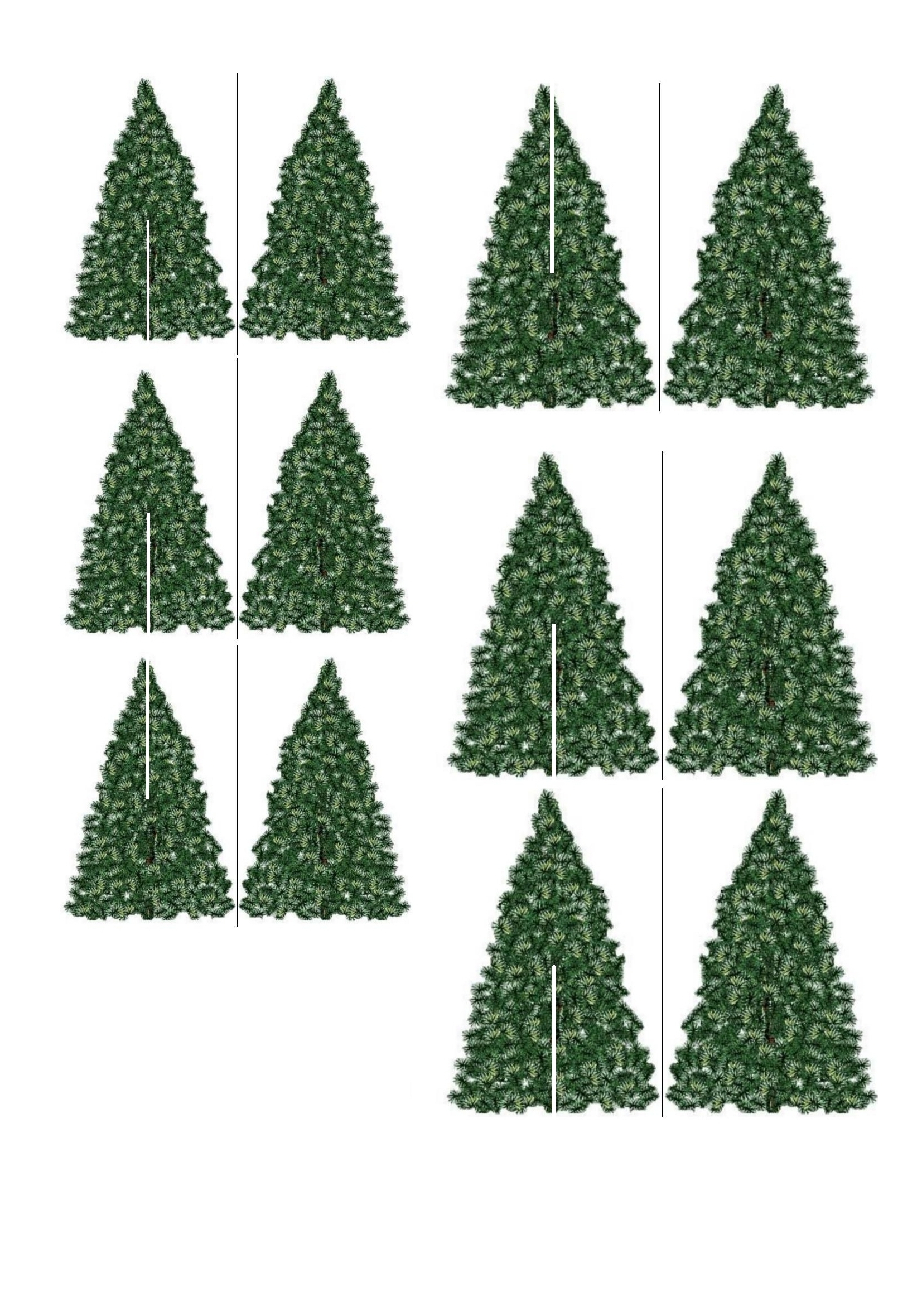 Sapin 1