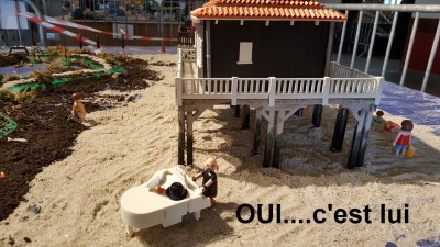 L'ile aux oiseaux (12).jpg
