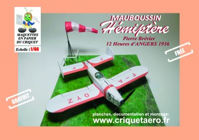 PIRATE MAUBOUSSIN HEMIPTERE L.jpg