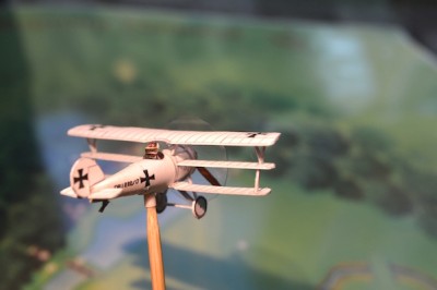 5-Pfalz DR1 (3).jpg