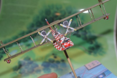 Felix2825 (3).JPG