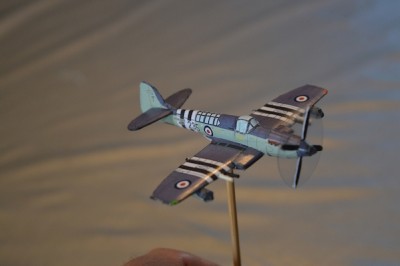5-Firefly (1).jpg