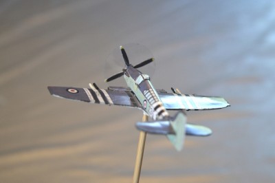 5-Firefly (2).jpg