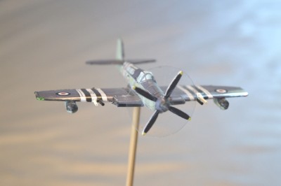 5-Firefly (3).jpg