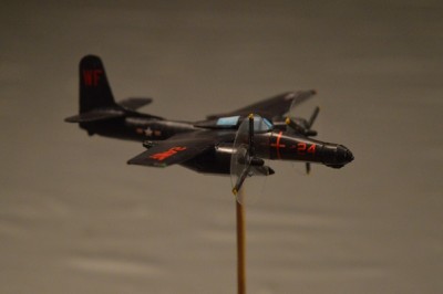 5-Tiger (1).jpg