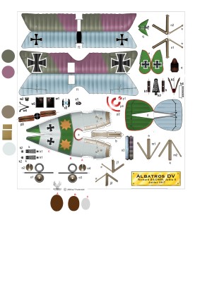 albatros5 DILCHER Richard 1-72.jpg