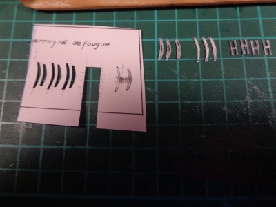 DSC00216.resized.resized.JPG (654.62 Kio) Vu 2182 fois hune de perroquet de fougue.