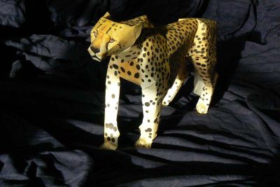 guepard.jpg

