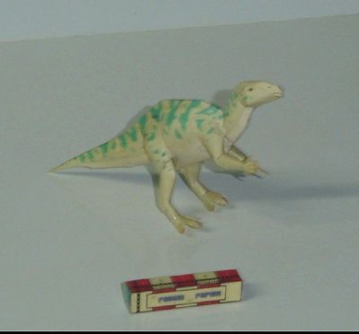 14.JPG