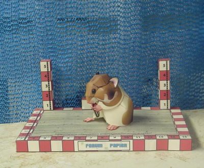 Hamster
