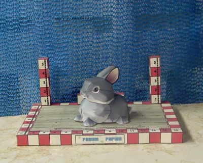 Lapin
