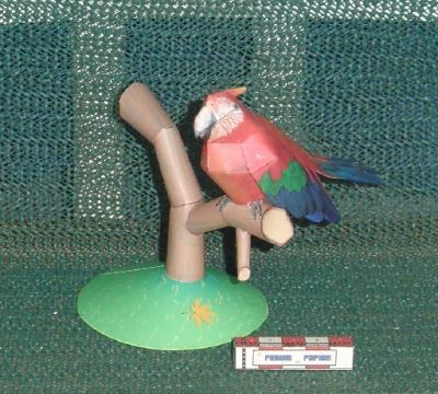 Oiseau_1.JPG