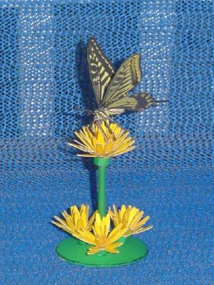 Papillon-1.JPG