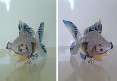Petit_poisson.jpg