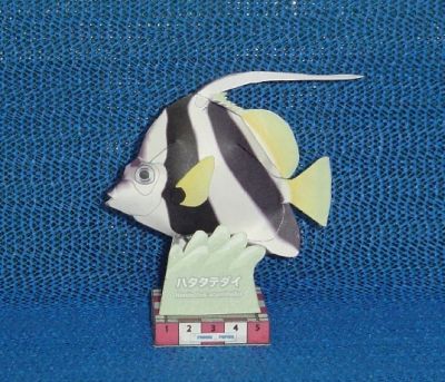 Poisson_01.JPG