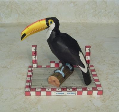 Toucan.JPG