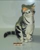 Filename=Chat.JPG
Filesize=78KiB
Dimensions=466x583
Date added=Jul 31, 2007 Chat.JPG
