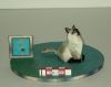 Filename=Chat_11.jpg
Filesize=159KiB
Dimensions=1592x1270
Date added=Dec 05, 2011 Chat_11.jpg