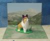 Filename=Lassie.JPG
Filesize=73KiB
Dimensions=819x676
Date added=Nov 18, 2009 Lassie.JPG