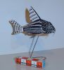 Filename=Poisson.JPG
Filesize=62KiB
Dimensions=534x582
Date added=Jul 31, 2007 Poisson.JPG