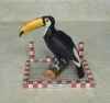 Toucan.JPG