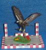 Filename=aigle0001.JPG
Filesize=149KiB
Dimensions=500x543
Date added=Feb 03, 2008 aigle0001.JPG