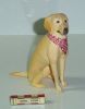Filename=labrador.JPG
Filesize=71KiB
Dimensions=465x589
Date added=Jul 31, 2007 labrador.JPG
