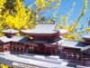 Filename=byodoin_(14).JPG
Filesize=430KiB
Dimensions=845x634
Date added=Mar 22, 2011 byodoin_(14).JPG