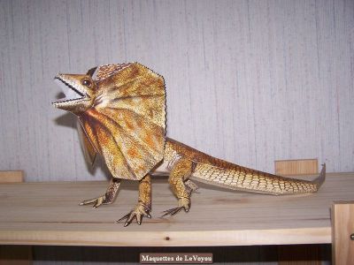Dinosaure
Fait par mon fils Jack (9 ans).
Maquette de MB crÃ©ation
