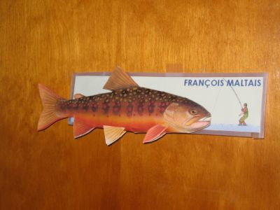 Ma plaque d'identification au bureau!
