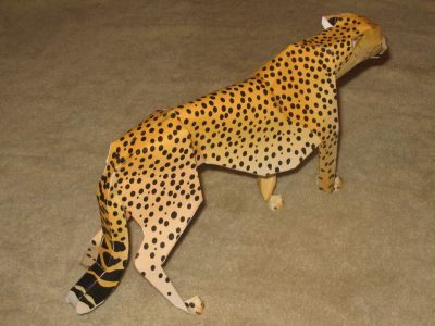 PostÃ©rieur du guÃ©pard.
TrÃ¨s beau modÃ¨le.
Manque plus que les poils!
