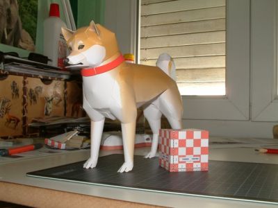 DSCF0004.JPG