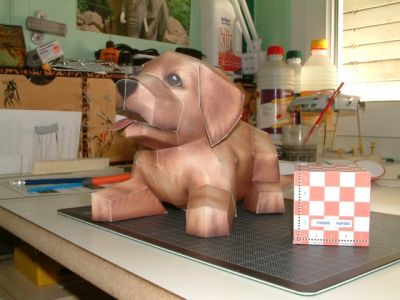 DSCF0008.JPG