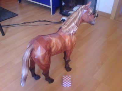 Cheval  - arriÃ¨re

