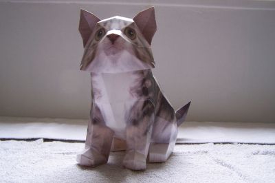 chat
