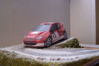 peugeot 206 WRC
voici la peugeot 206 WRC de chez saturn 
la photo est prise sur un dioarama a mon pÃ©re
