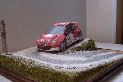 peugeot 206 WRC
voici une vue plus grand 
