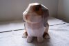 Filename=lapin.jpg
Filesize=81KiB
Dimensions=800x533
Date added=Jun 15, 2008 lapin.jpg