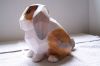 Filename=lapin_02.jpg
Filesize=69KiB
Dimensions=800x533
Date added=Jun 15, 2008 lapin_02.jpg