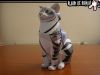 Filename=chat1.jpg
Filesize=55KiB
Dimensions=640x480
Date added=Dec 19, 2007 chat1.jpg