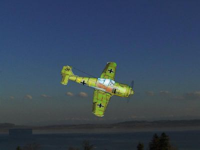 FW-190
SPECIAL FRANCE

FW-190
Avec sa livrÃ©e allemande.

http://avions-papier.heb3.org/
